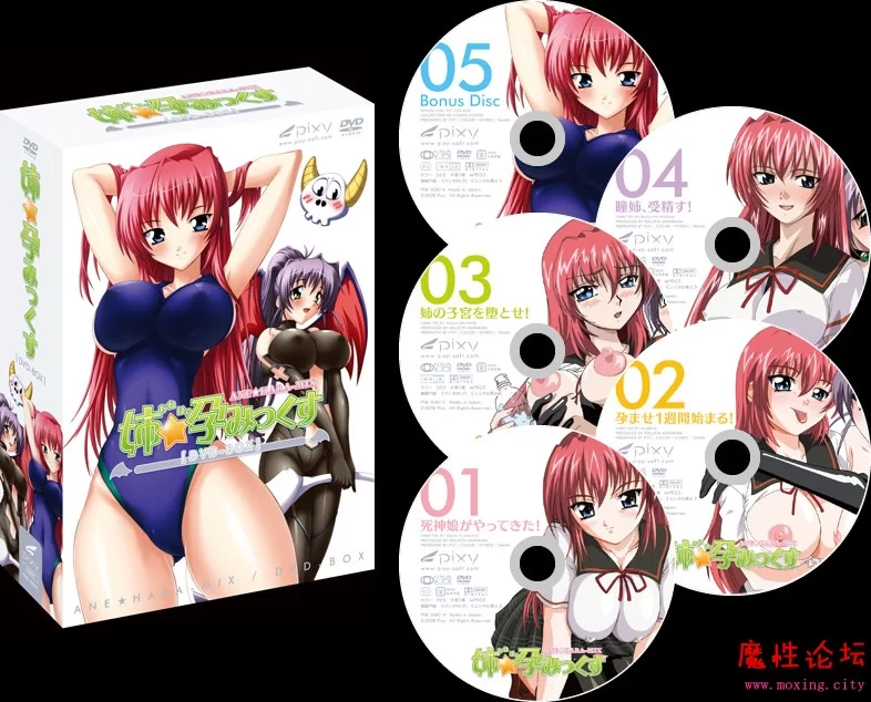 Ane Haramix DVD-BOX.jpg