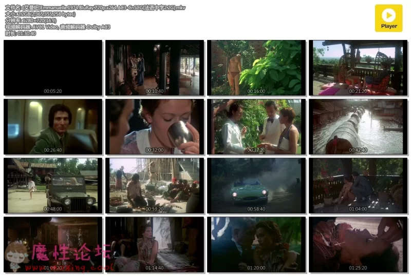 [艾曼纽]Emmanuelle.1974.BluRay.720p.x264.AC3-CnSCG[法语中字2.2G].mkv.jpg