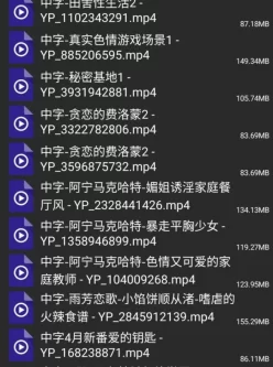 [自行打包] 翻库翻出40个番，1币就卖 [40v+3G][百度盘]