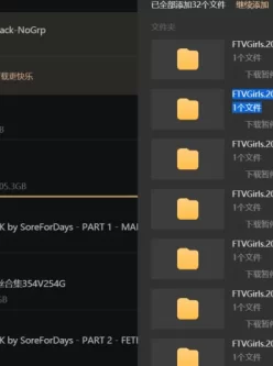 [转载搬运] FTVgirls 4K 300g 大合集 [29v+300g][磁力链接]